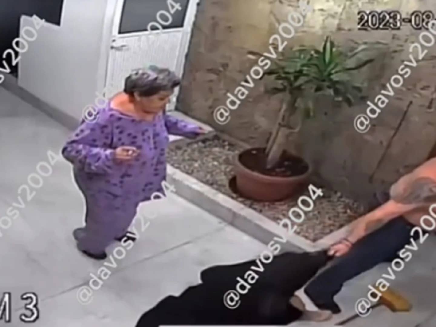 Madre del agresor en alcaldía Benito Juárez