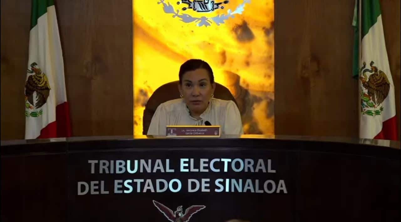 Tribunal Electoral del Estado de Sinaloa (Teesin)