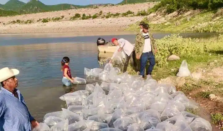 Personas en presa Guillermo Blake Aguilar “El Sabinal”