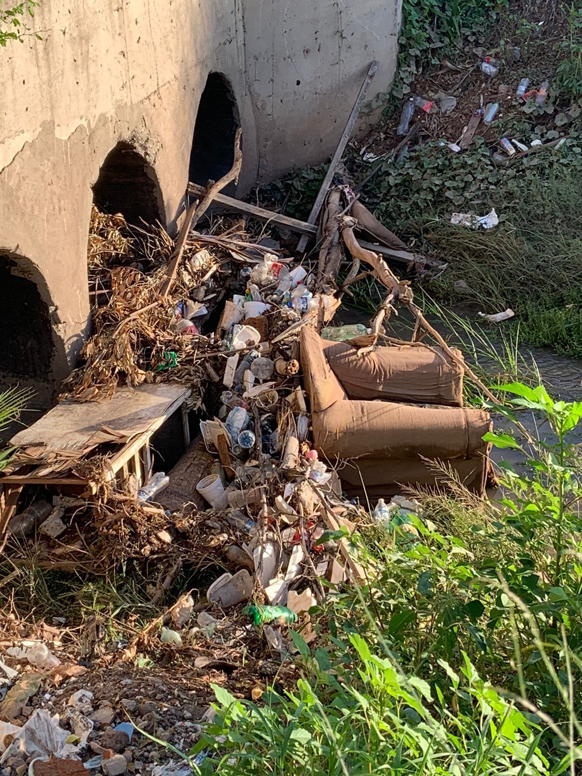 ACUMULACIÓN DE BASURA