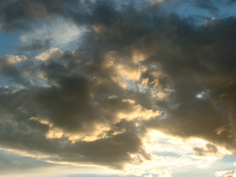 Nubes blancas y oscuras