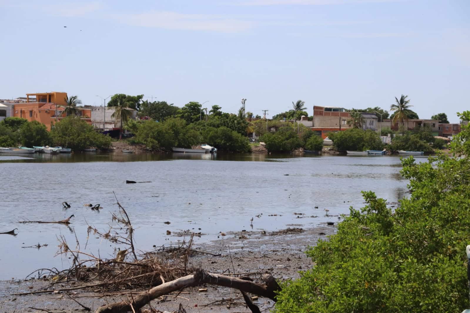 Se cuenta con un estudio para desazolvar el estero del Infiernillo hasta la boca del puente Juárez