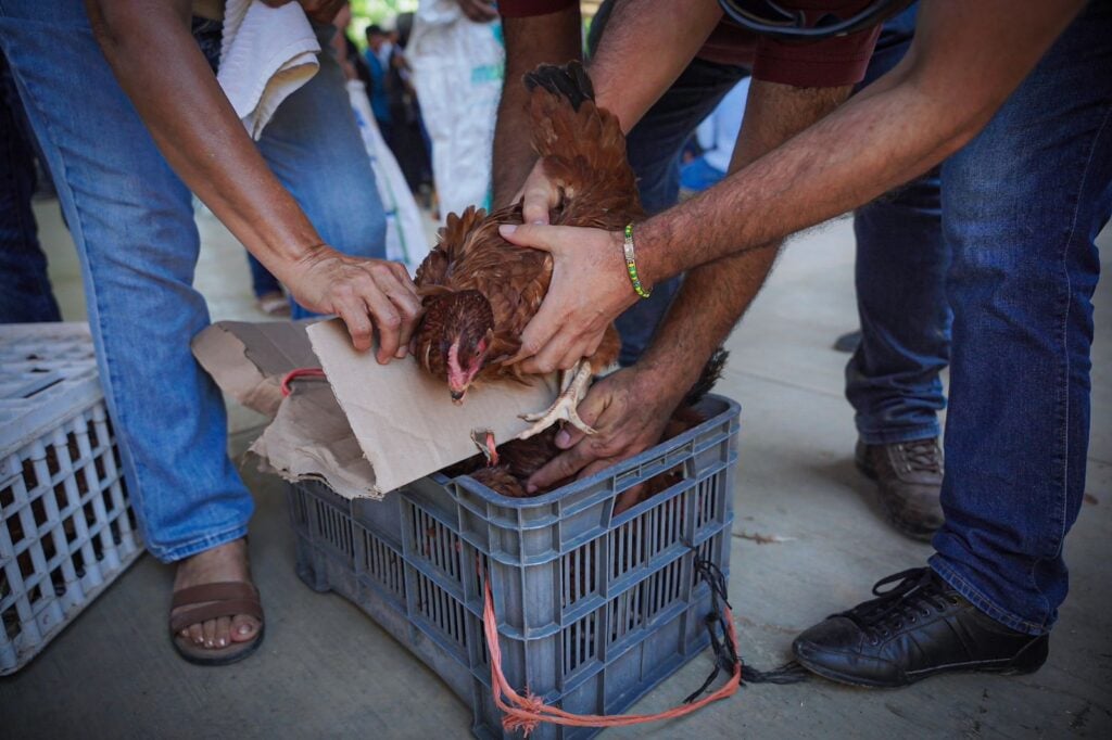 Brigada de apoyo en San José de las Delicias