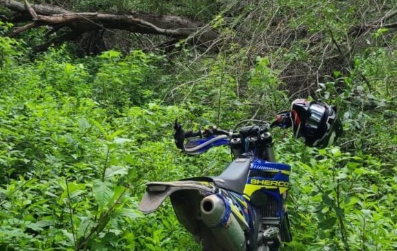 Motocicleta entre arbustos