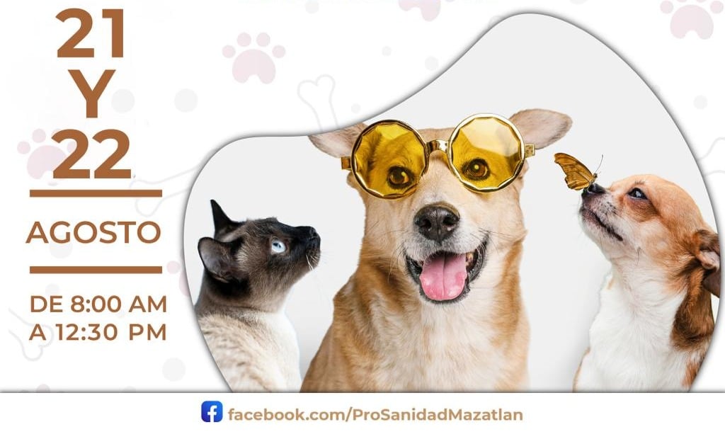 Campaña esterilización de mascotas
