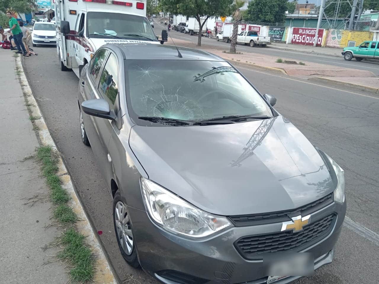 automóvil gris