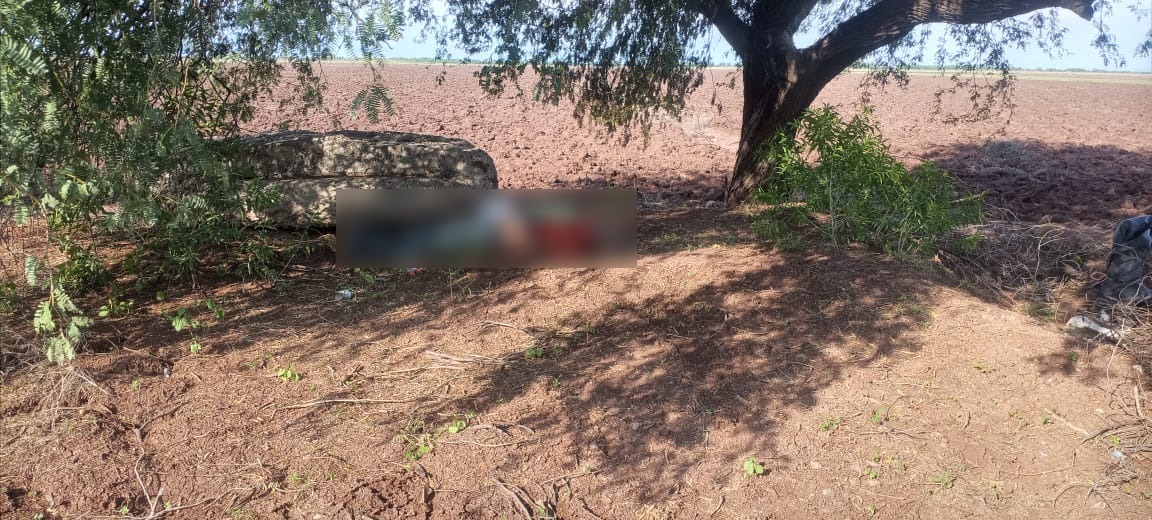 Hallan a hombre asesinado a balazos cerca de Lucio Blanco en Salvador Alvarado