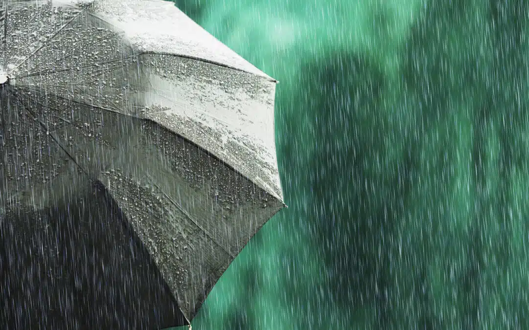 Paraguas negro cubriendo a persona de fuerte lluvia