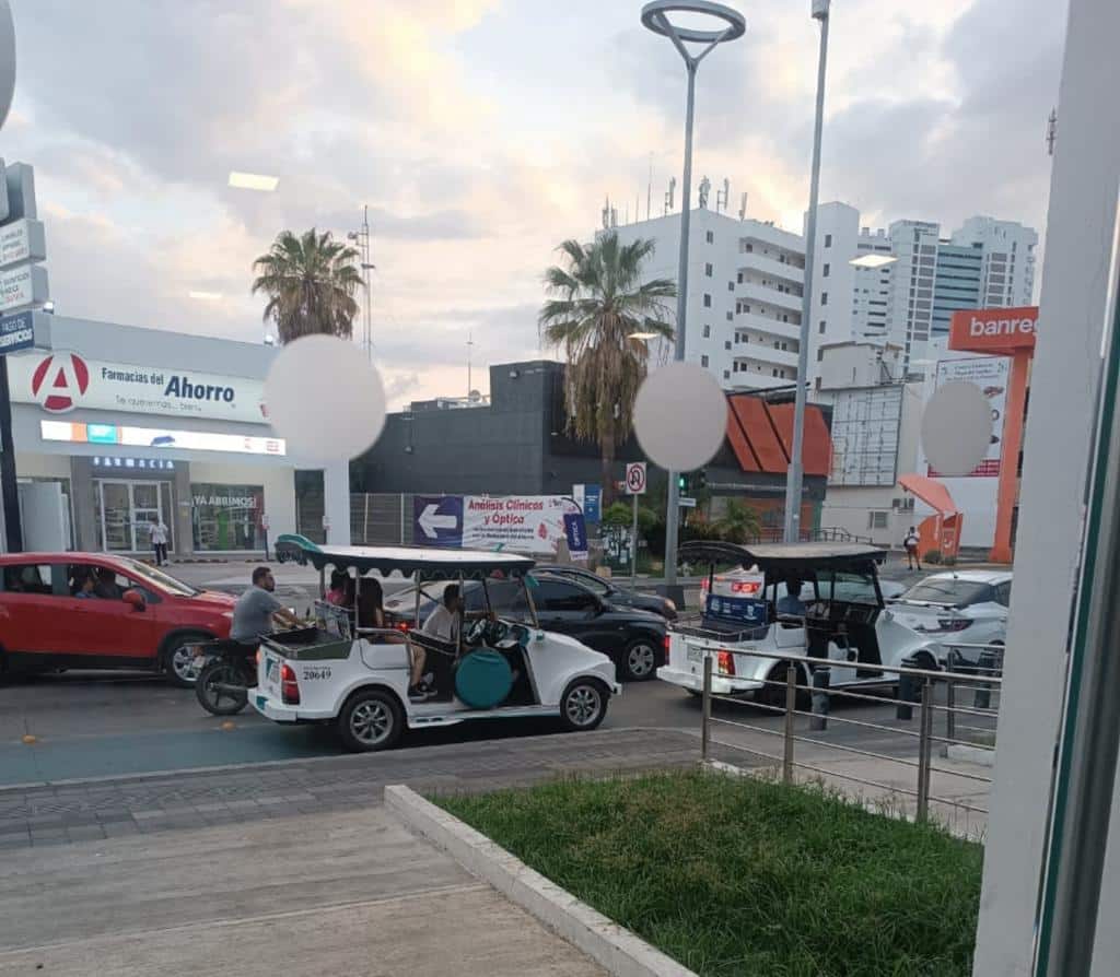 Pulmonías invadiendo la ciclovía en la Zona Dorada de Mazatlán