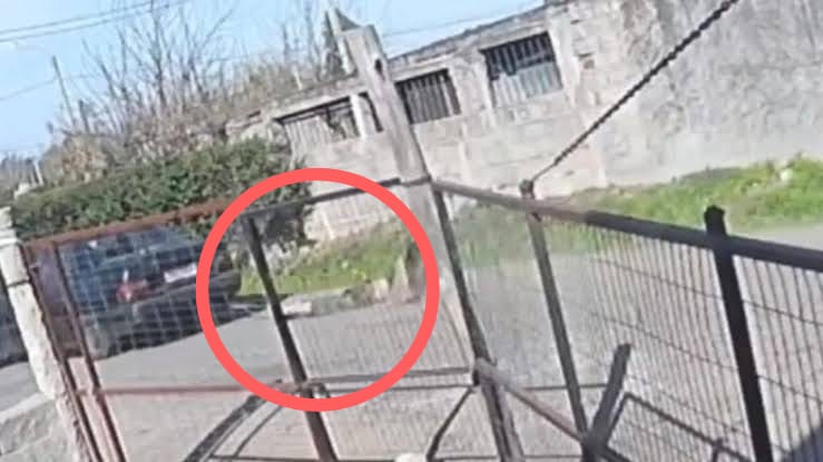 ¡Escarmiento! Arrastra a un ratero con ayuda de su carro en calles de Montevideo
