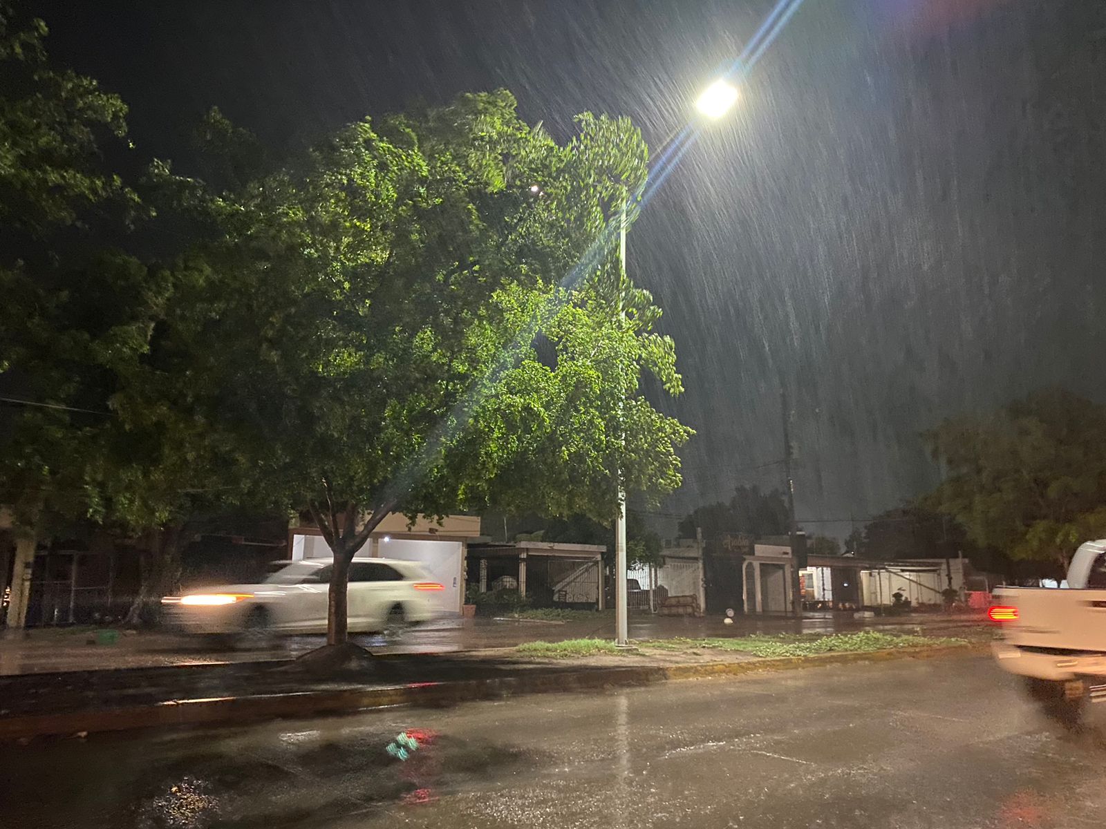 ¡Lluvia, fuertes vientos, caídas de árboles y apagones! Así la noche de este jueves en Ahome