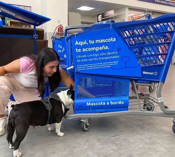 ¡Ya puedes hacer el súper junto con tu lomito!; tienda de autoservicio se vuelve pet friendly
