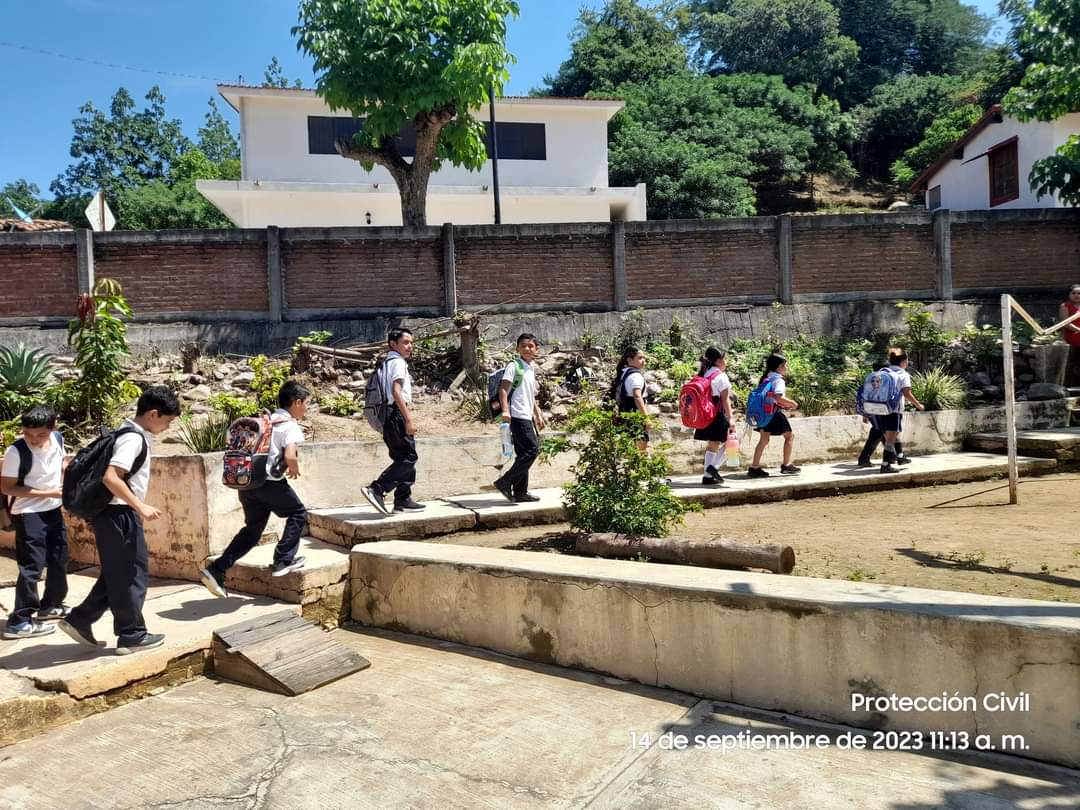 Niños siendo evacuados por la presencia de panales de abejas