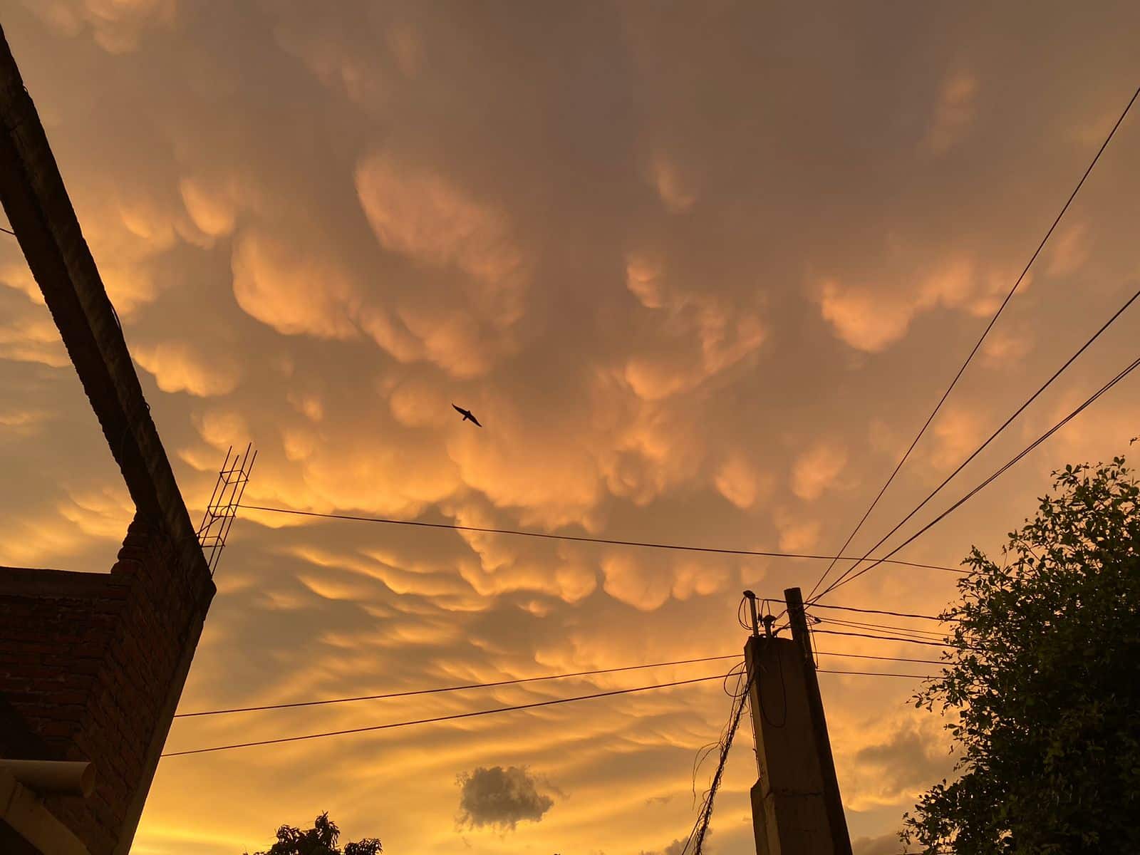 Atardecer en el norte de Sinaloa este lunes 11 de septiembre