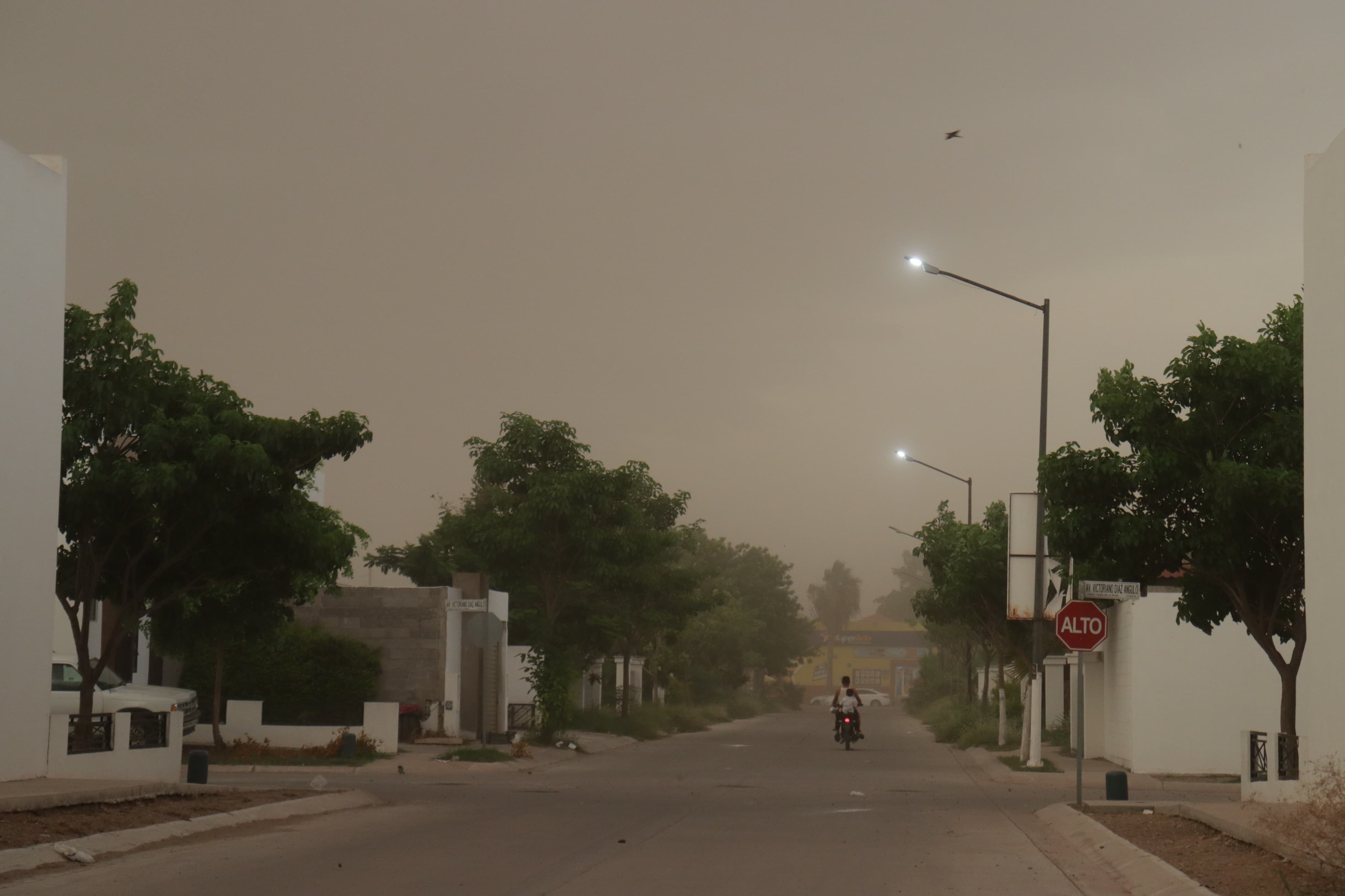 Ventisca en Los Mochis, la tarde de este lunes 11 de septiembre