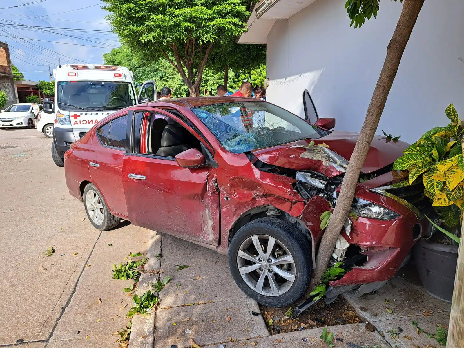 Vehículo Nissan Versa color rojo impactado contra un árbol y con daños materiales en la parte delantera