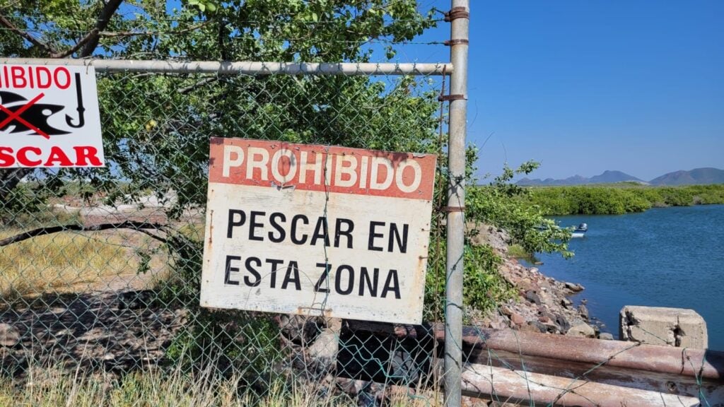 Señalamientos sobre la prohibición de la pesca en la Termoeléctrica de Topolobampo