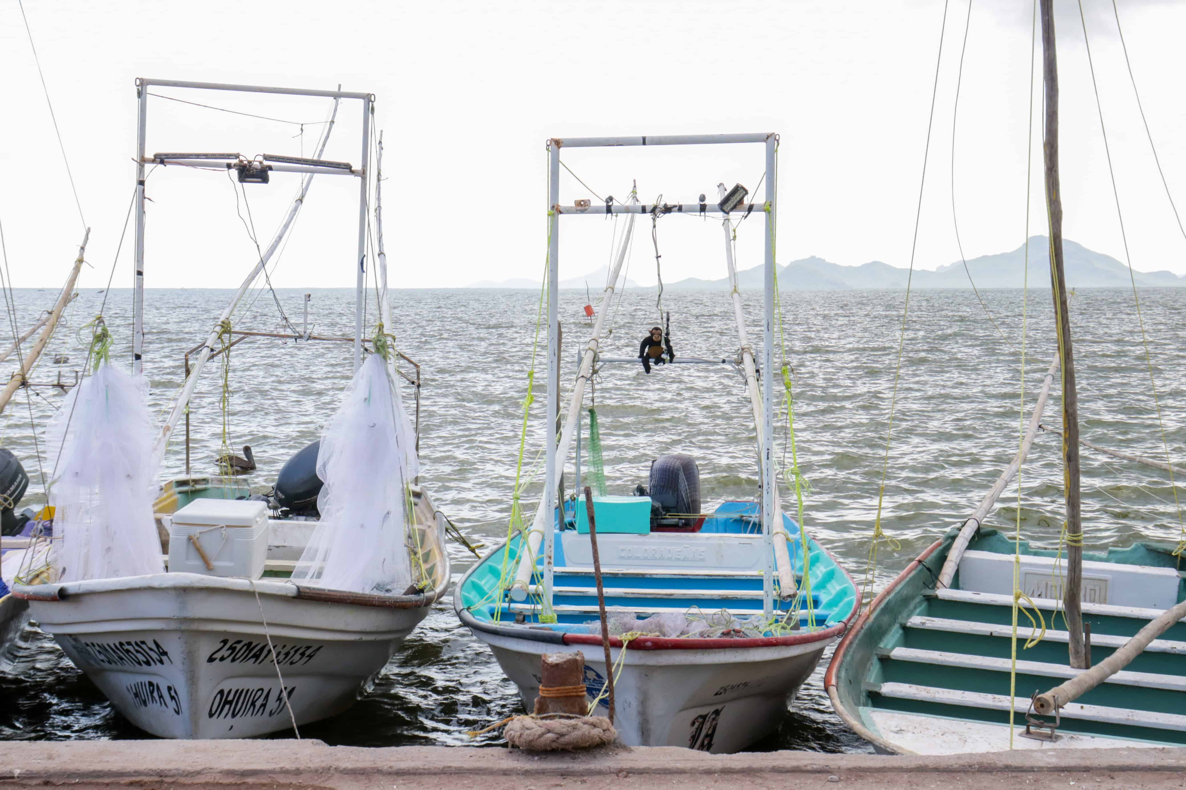 Embarcaciones camaroneras en la orilla del mar