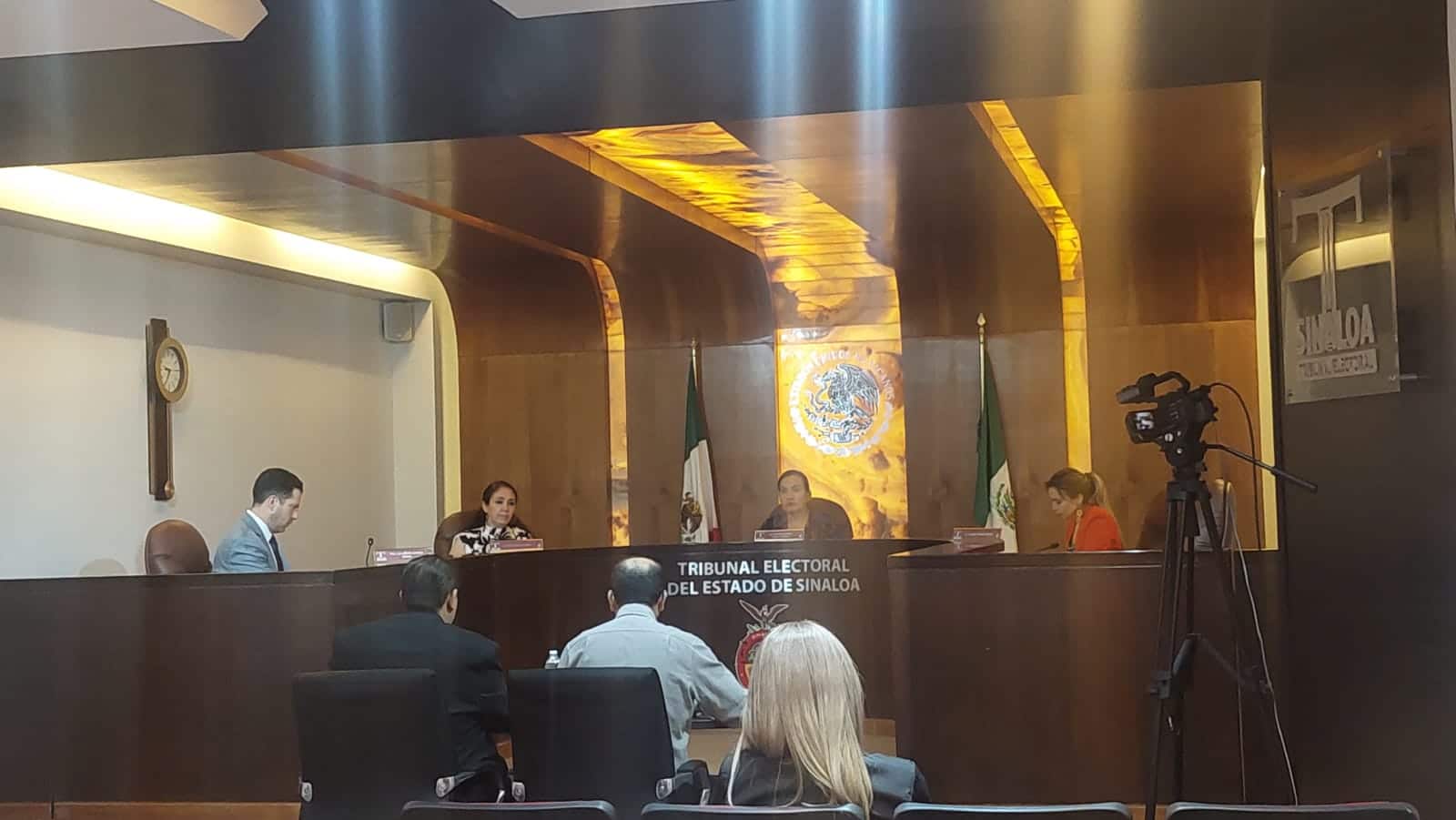 Tribunal Electoral del Estado de Sinaloa (Teesin)