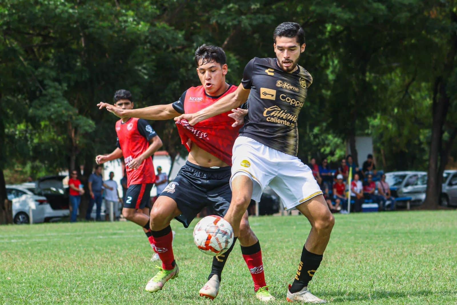 Partido entre FuraMochis y Dorados