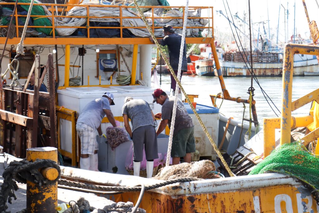 Pescadores trabajando en sus embarcaciones