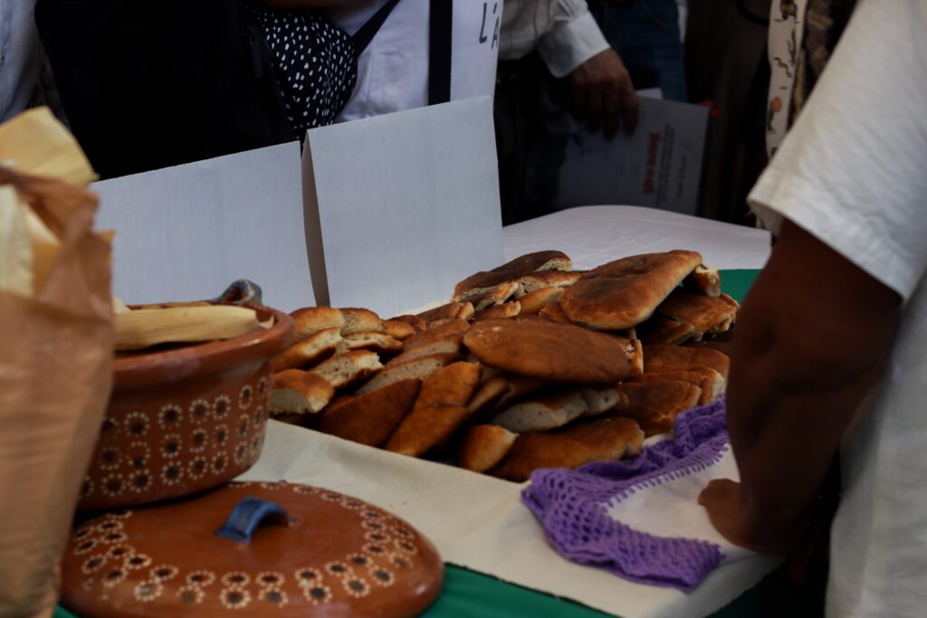 Primer encuentro culinario de platillos tradicionales del pueblo mayo-yoreme en el Jardín Botánico Benjamin Francis Johnston