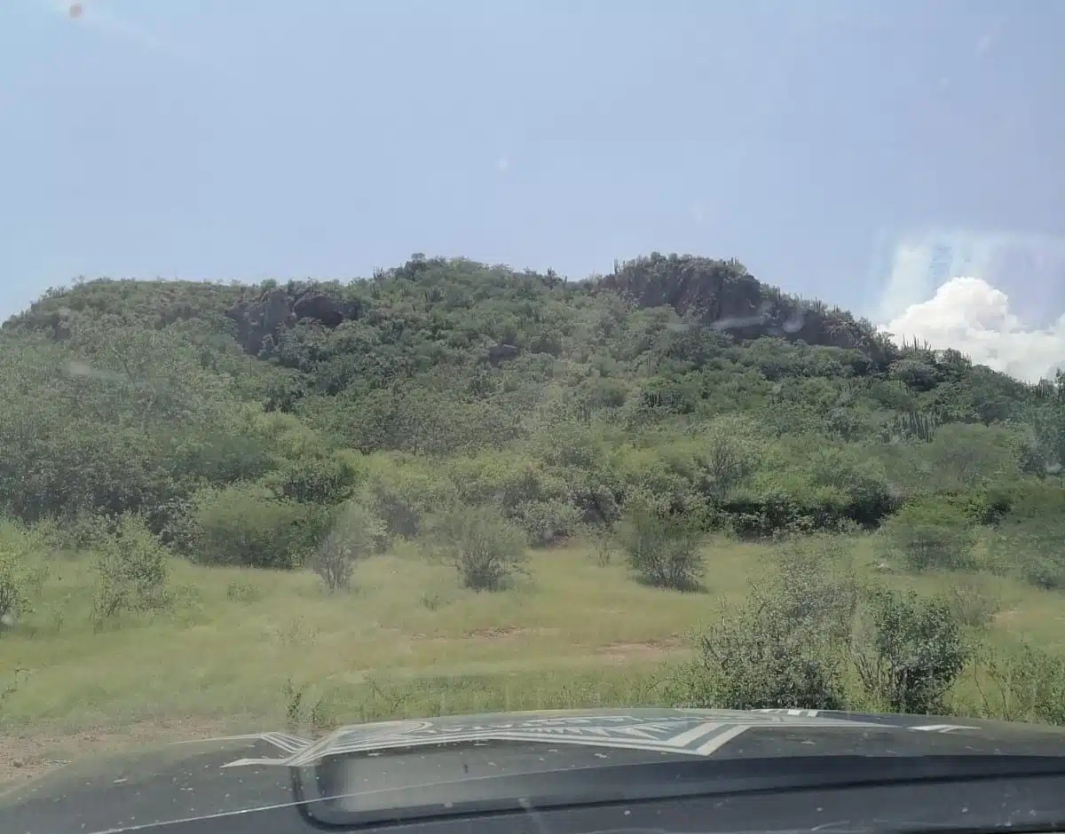 cerro ubicado en el municipio de El Fuerte, donde adulto mayor perdió la vida.