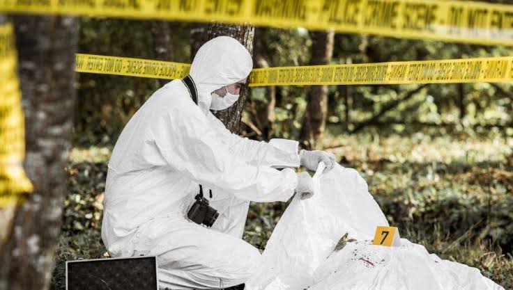 Adulto y niño de 11 años abusan de menor en Alemania; termina estrangulada