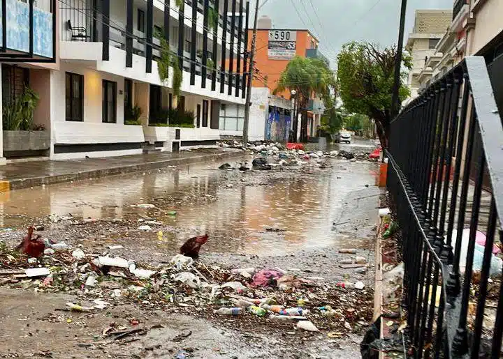 Basura sobre la calle con agua y banqueta, árboles y casas