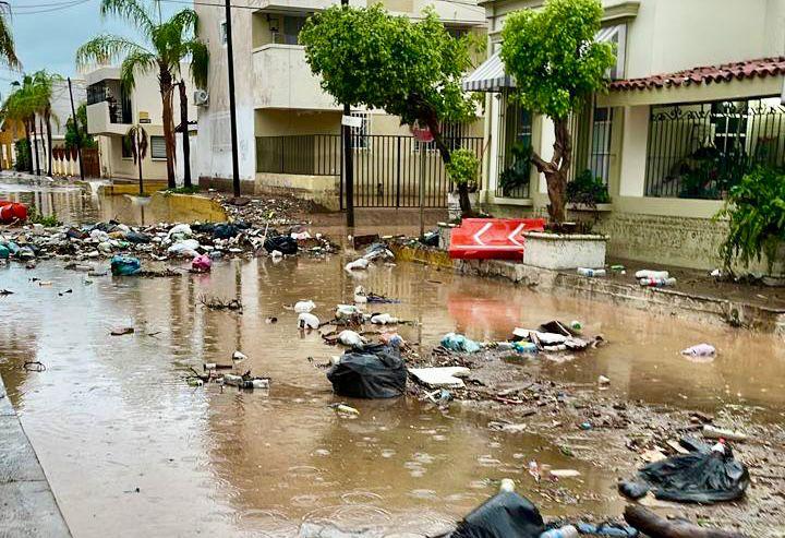Basura sobre la calle con agua, árboles y casas