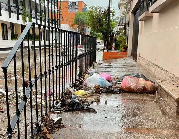 Basura sobre la calle con agua y banqueta, árboles y casas