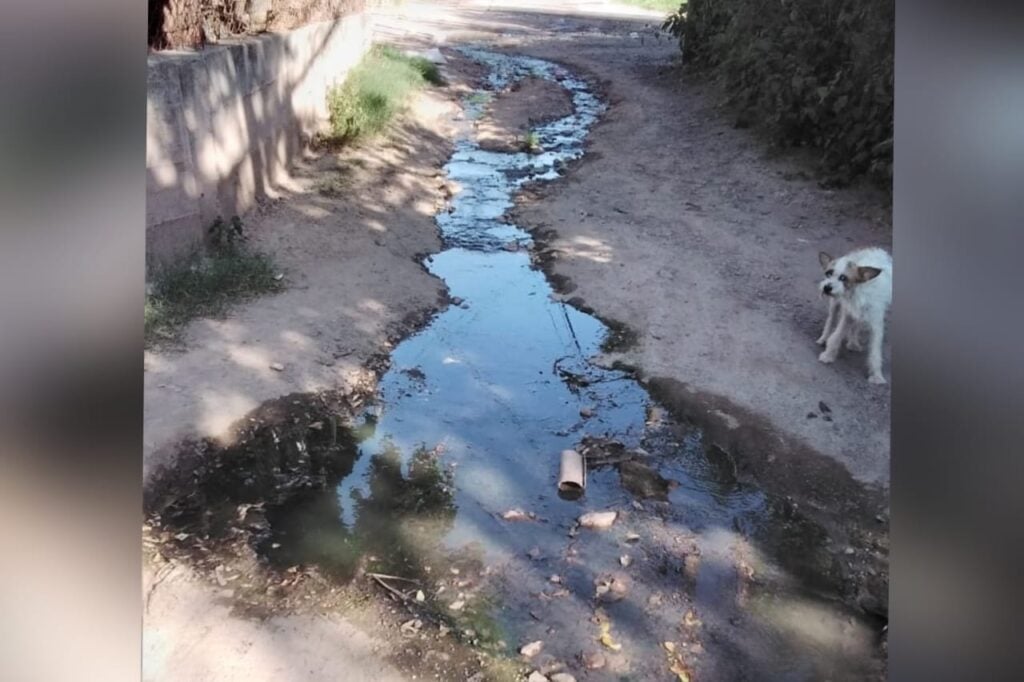 Lodo por aguas negras