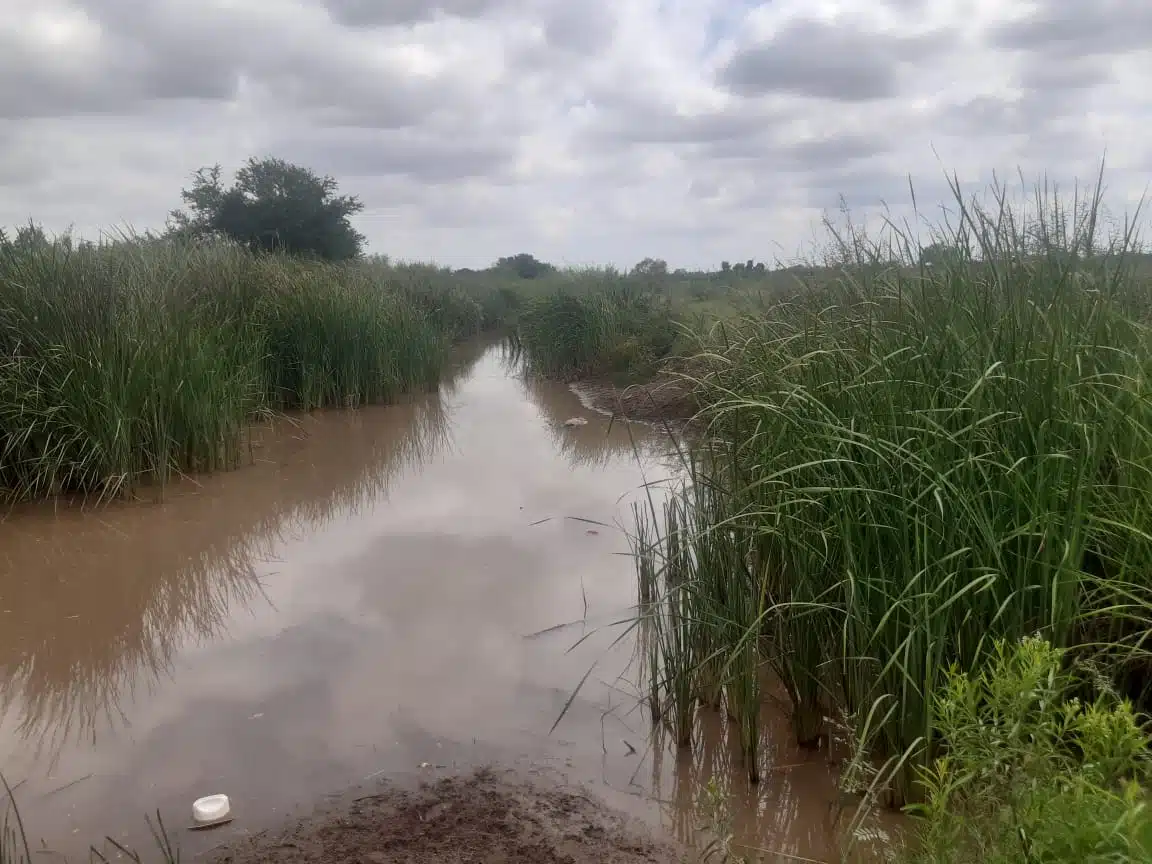 Don Roberto trató de refugiarse en el agua de un dren