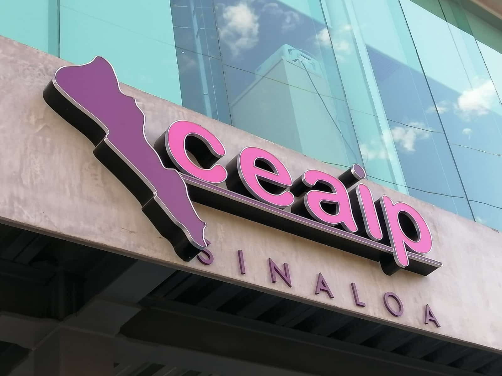Comisión Estatal de Acceso a la Información Pública