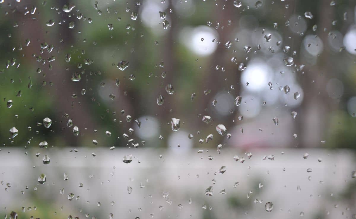 CLIMA BCS