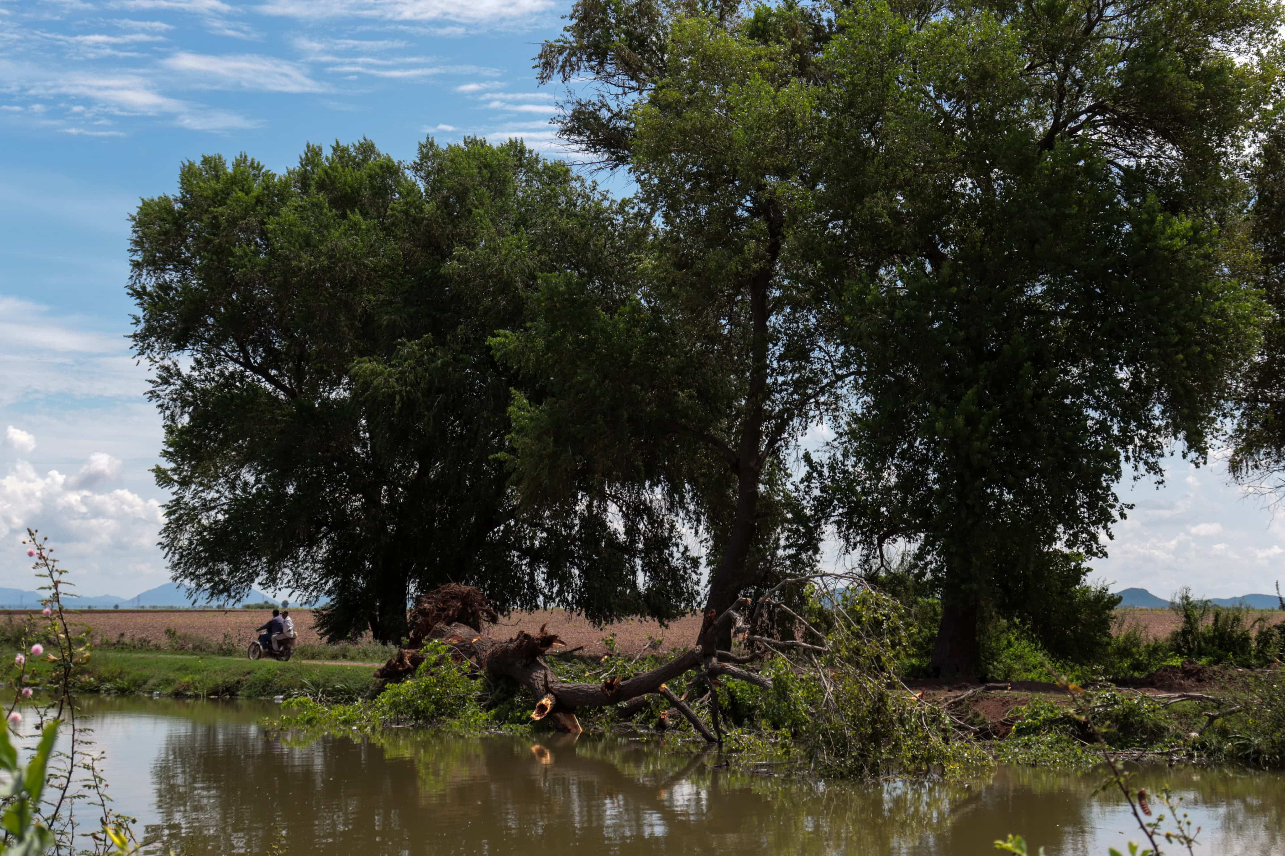 Canal de agua potable en El Fuerte