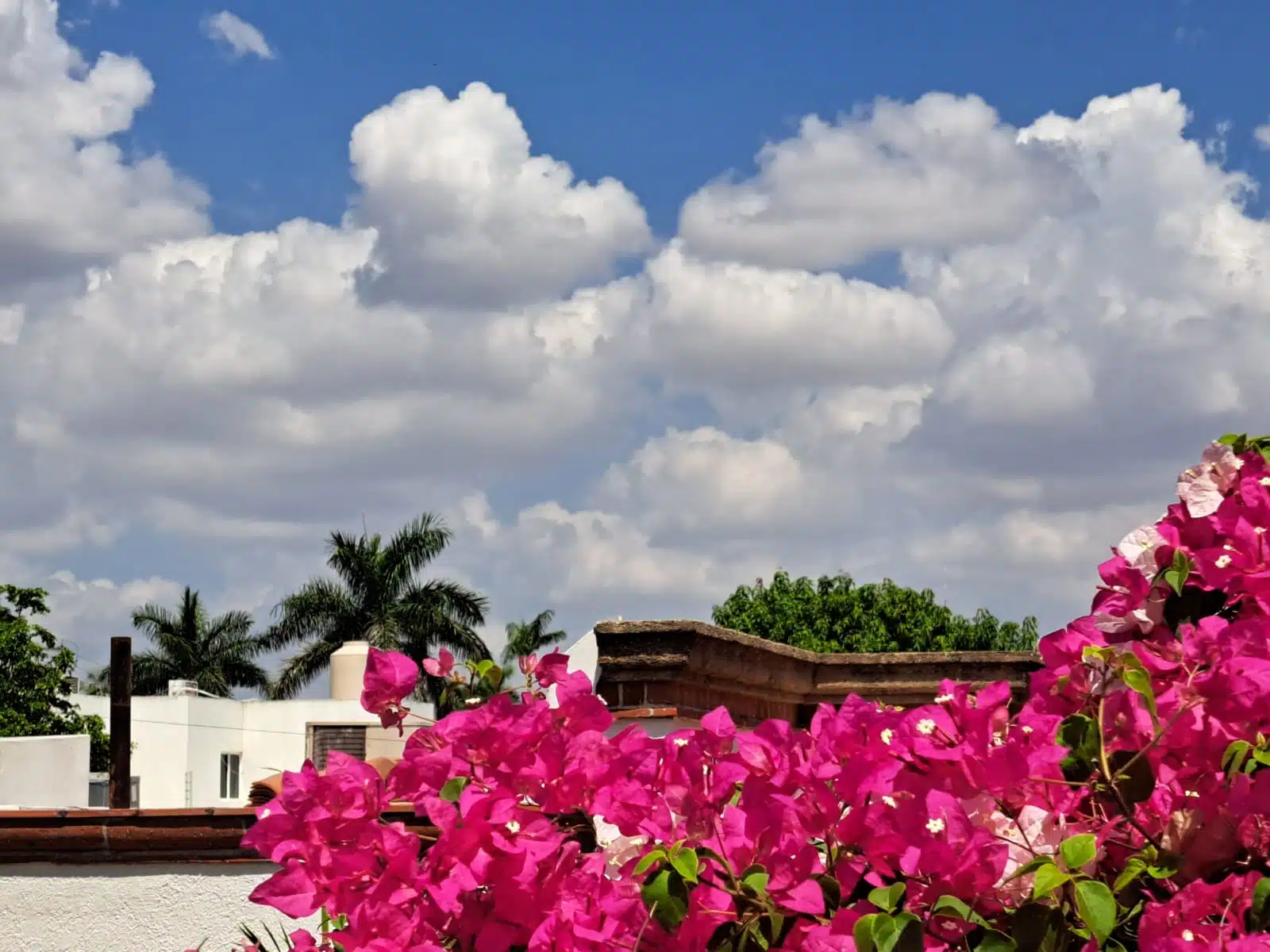 Cielo nubes clima Sinaloa