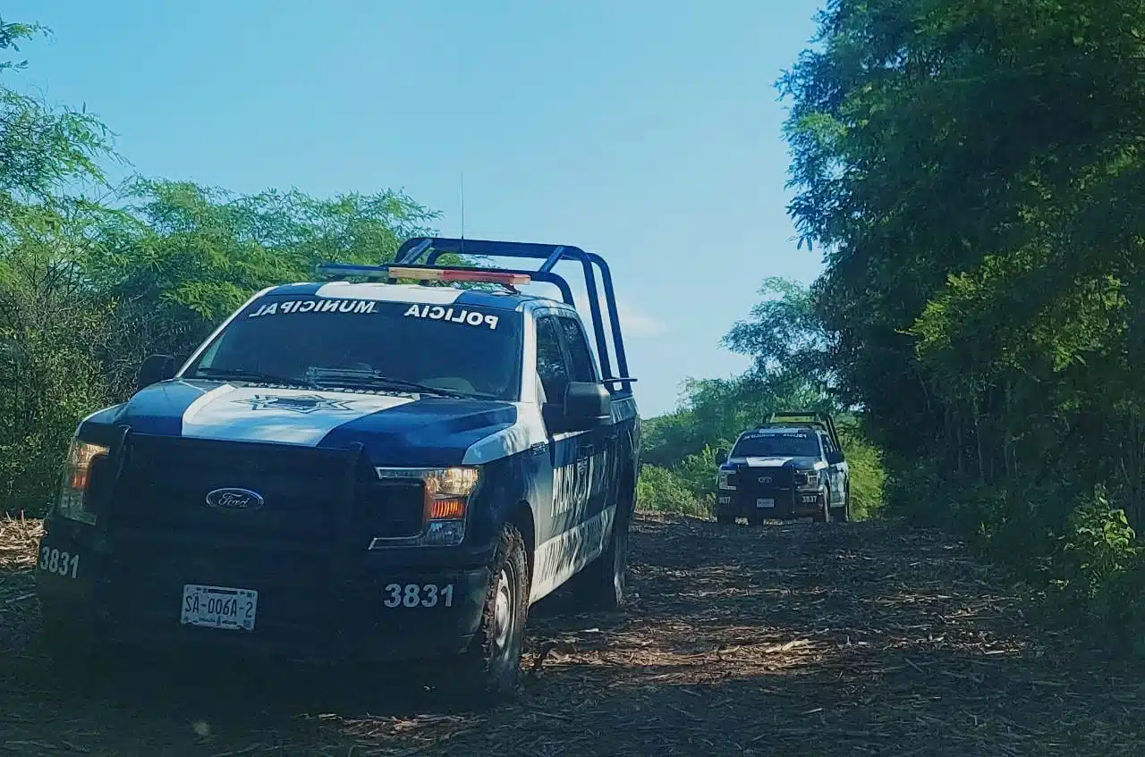 El cuerpo fue localizado en las inmediaciones de la comunidad de El Amapal, Sinaloa municipio