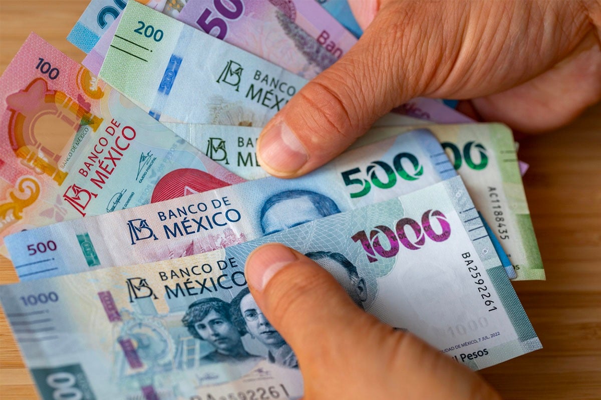 Manos de una persona agarrando dinero