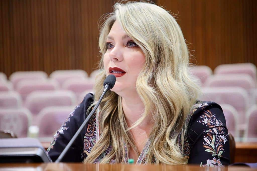Diputada Connie Zazueta frente a un mirófono 