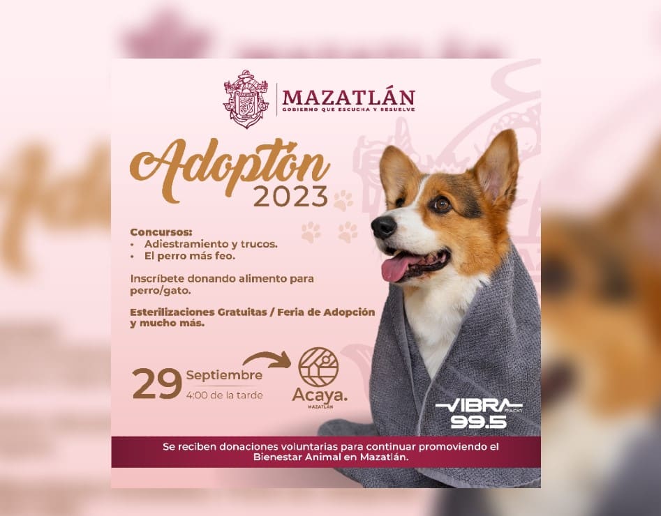 Evento Adoptón 2023