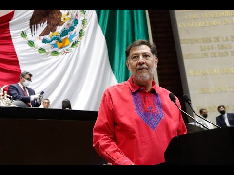 Fernández Noroña Constitución.