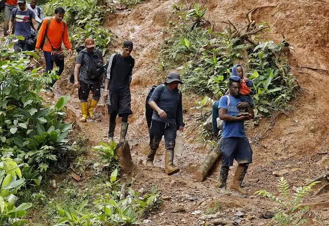 Gobierno panameño deportará a migrantes que ingresen por la selva del Darién
