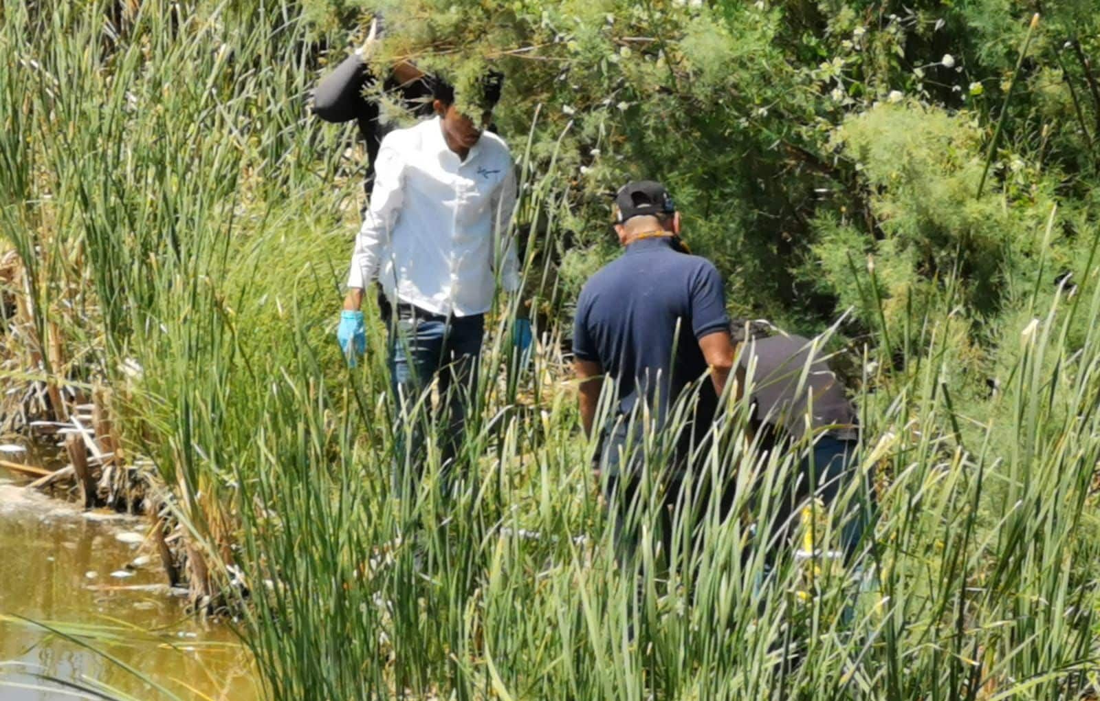 Personas cerca de un canal con agua y tule