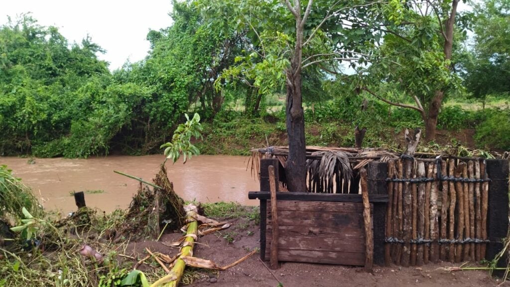 Canal con agua, árboles y como cerca de madera