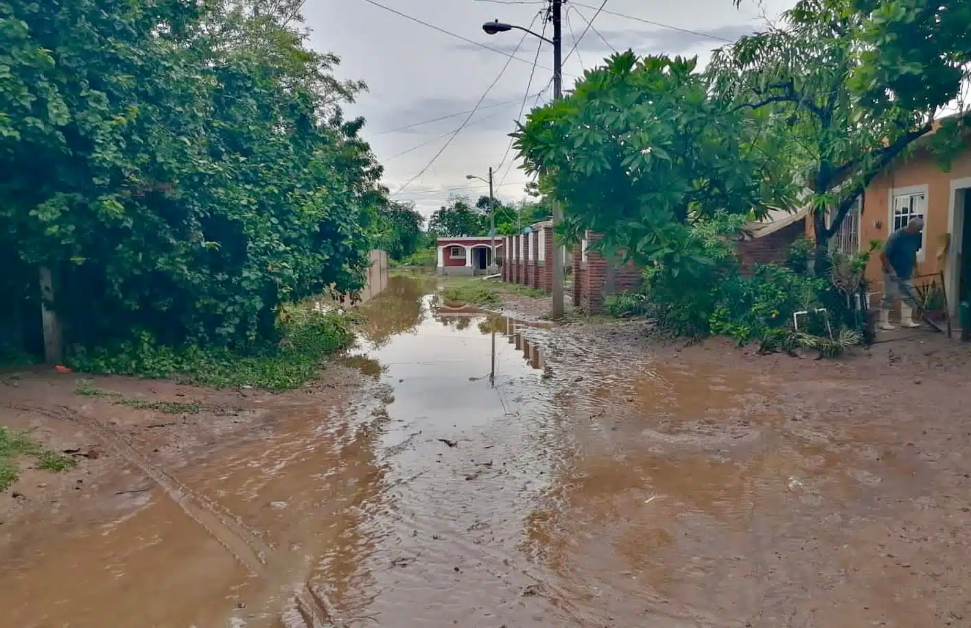 Calle sin pavimentar con agua y lodo, árboles a los lados y la fondo casas