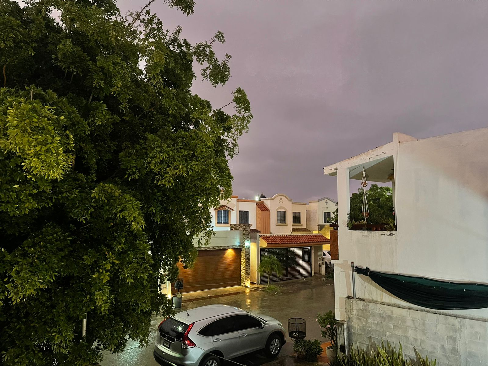 Lluvia ligera, ramas de un árbol, casas y una camioneta