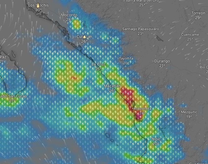 Proyección del servicio Windy de lluvias para el miércoles 6 de septiembre en Sinaloa.