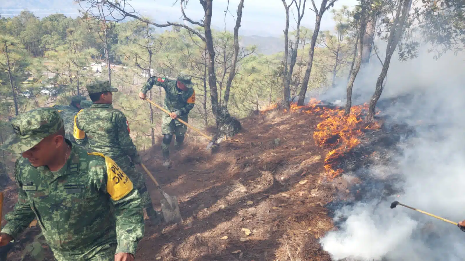 Militares trabajan para apagar incendio forestal en Concordia
