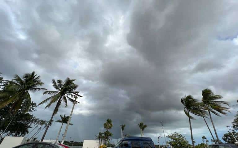 Cielo con nubes blancas y grises, y palmeras